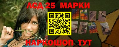 прущие крисы Моздок
