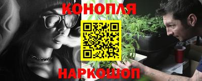 прущие крисы Моздок