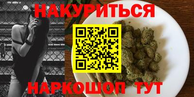 прущие крисы Моздок