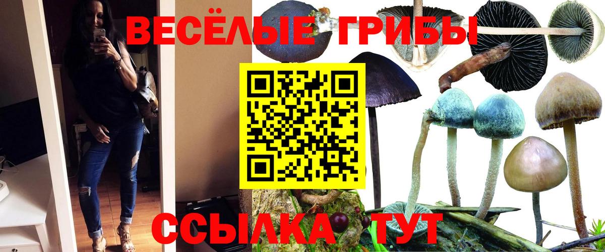 Топки  Псилоцибиновые грибы мицелий  Вход с VPN  Псилоцибиновые грибы ЛСД 